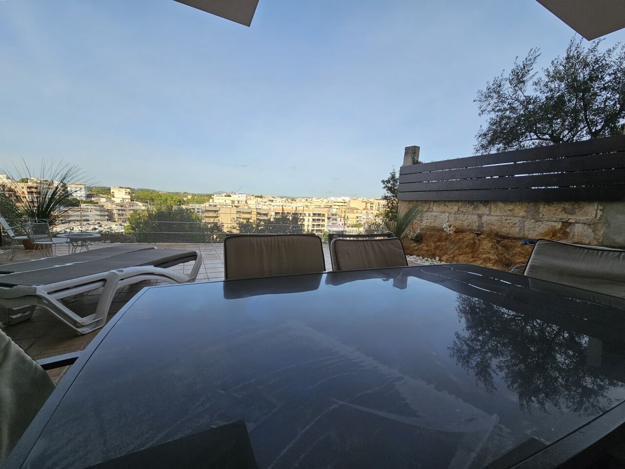 20231209 114817 20231209 114817