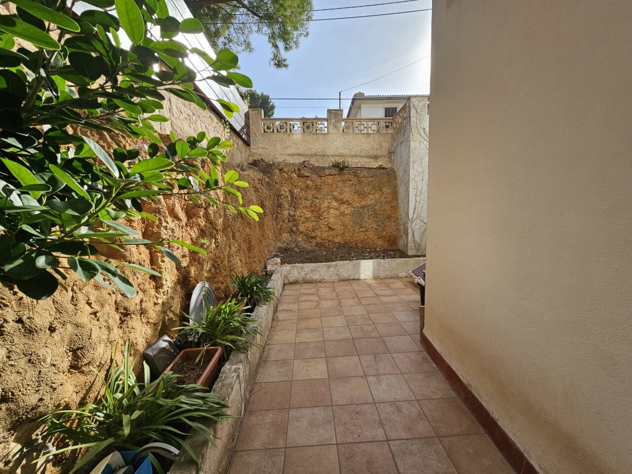 20231209 115526 20231209 115526