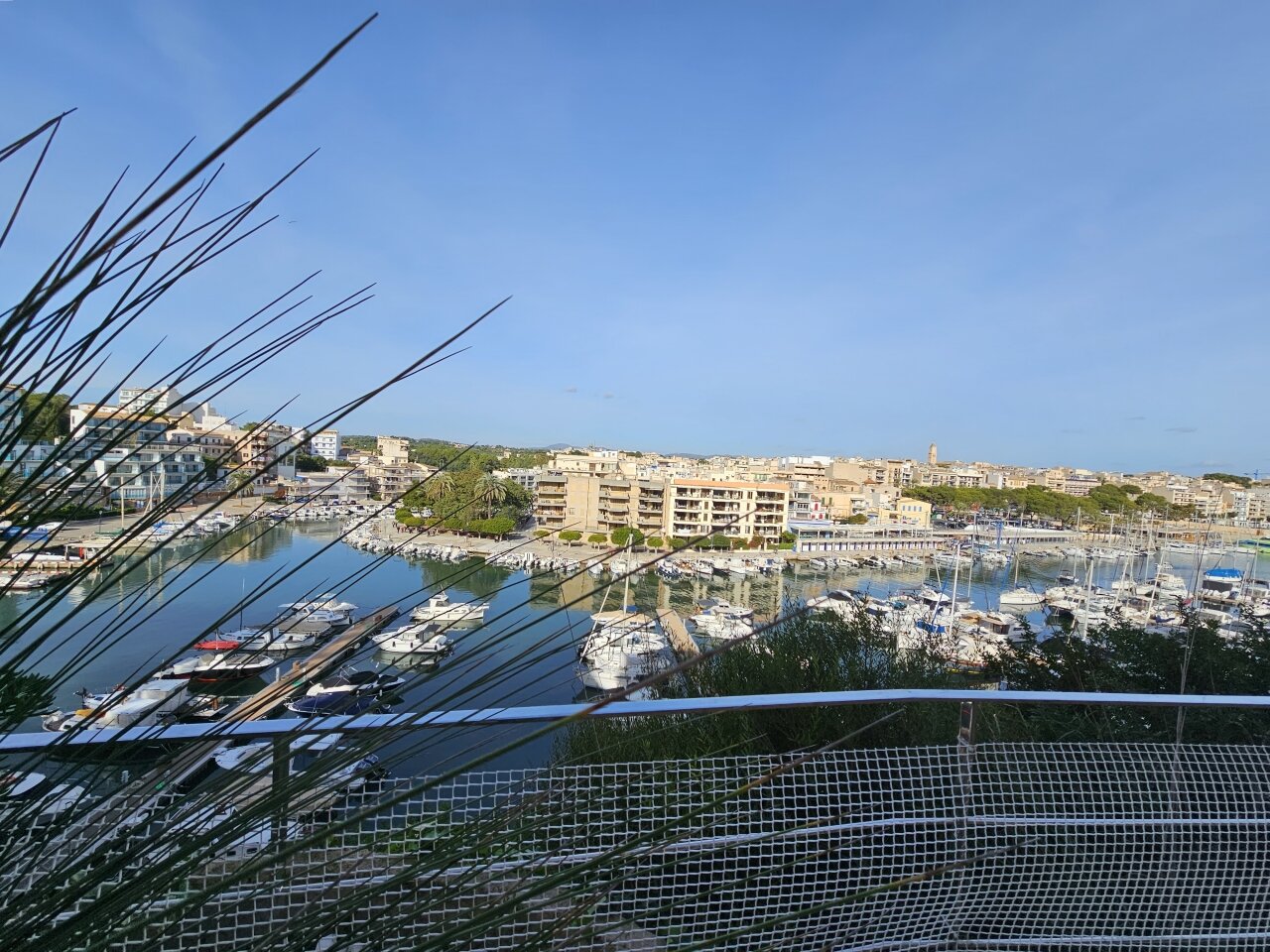 20231209 114922 20231209 114922