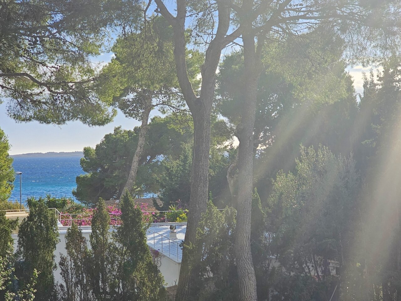 20240118 153414 20240118 153414