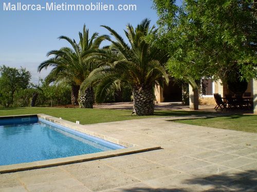 F 24 Manacor Poolterrasse